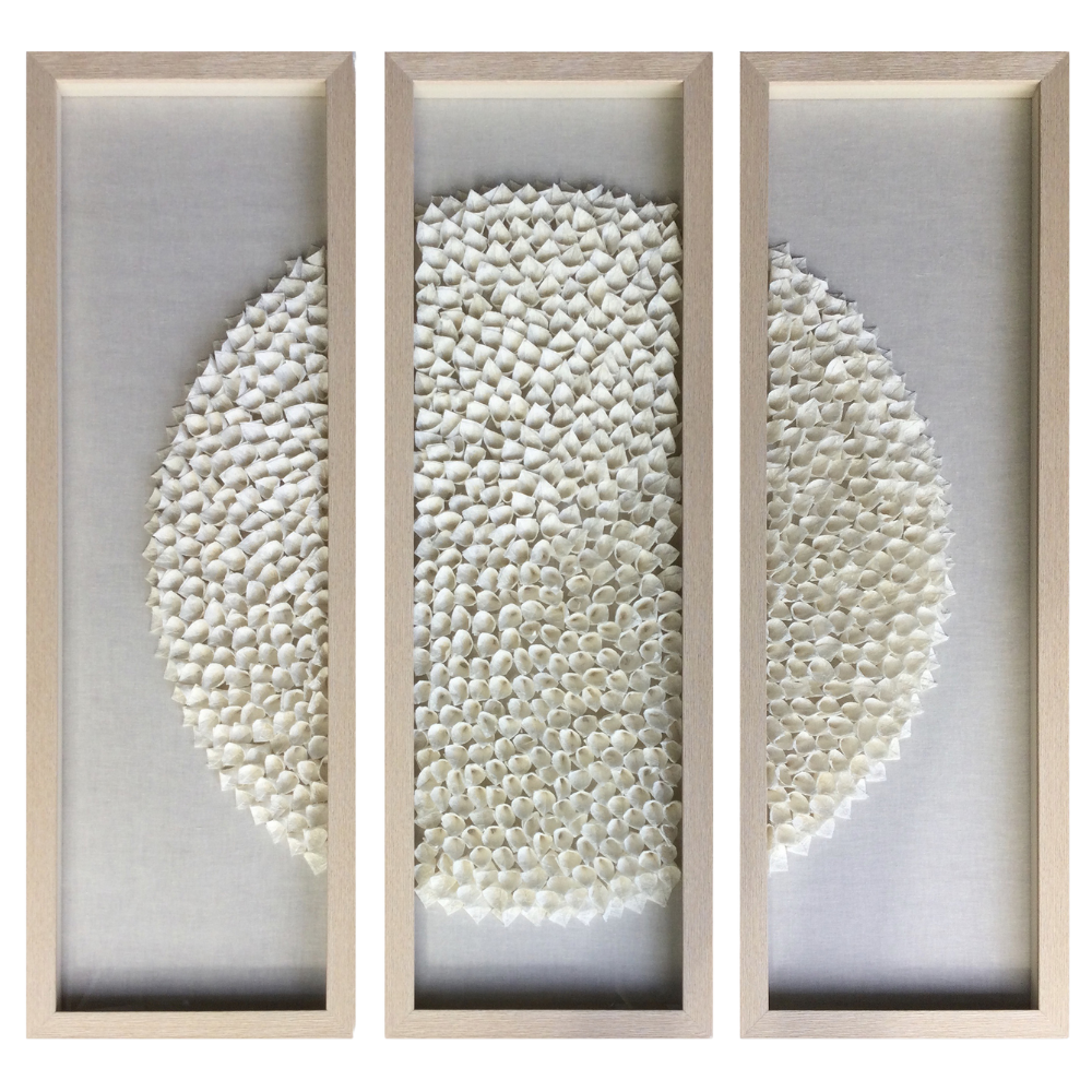S/3 CUADRO CORAL