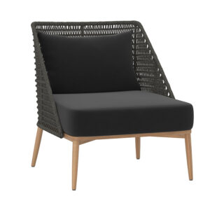 Andria Lounge Chair - Arashi Black - Arashi Black / Fabric