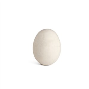 Paper Mache Egg Lg -A - White