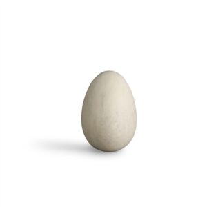 Paper Mache Egg Med - A - White