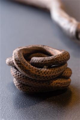Snake Basket 1 Ivory Black Wash 9"x8"x4"- A - Ivory Black Wash - Imagen 4
