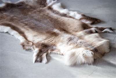 Reindeer Brown Melange H 45" & Dia 53"- ST - Brown - Imagen 2