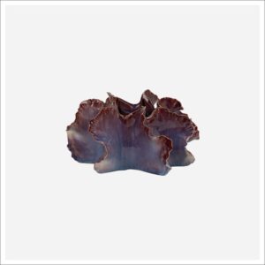 Aura Centerpiece