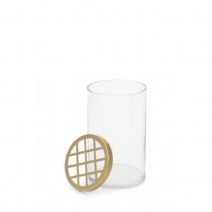 Med. Glass & Brass Flower Cylinder H7” - Clear & Gold - Clear & Gold