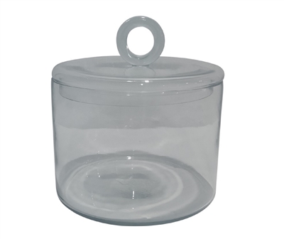 Cylindrical Jar Glass Clear H 8.3" & Dia 7.9" -ST - Clear