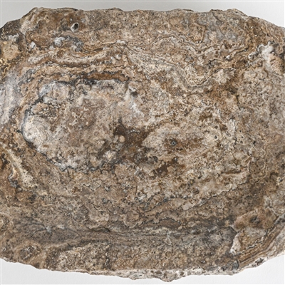 Grey Travertine Rough Organic Shaped Edged Bowl - Grey - Grey - Imagen 3