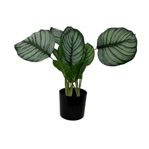 Faux Marantaceae w/ Pot 21”H- A - GREEN