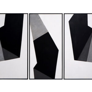 Geo Forms (Set Of 3) - 30" X 60" - Black Floater Frame - Black