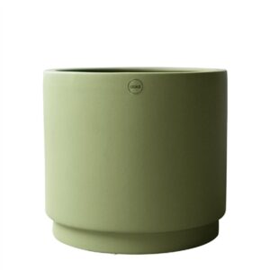 SOLID green - Green