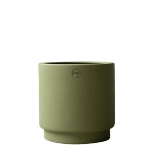 SOLID green - Green