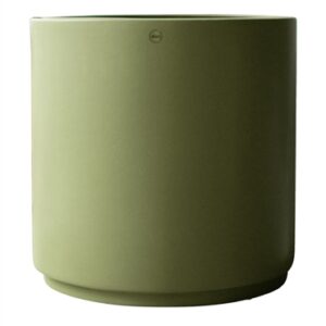 SOLID green - Green