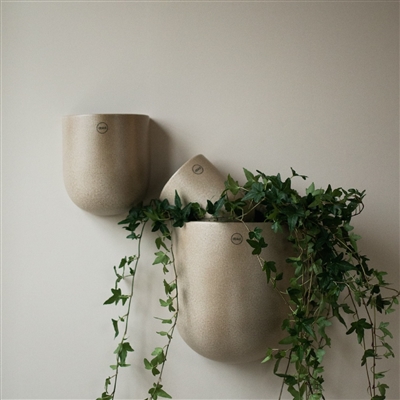 CUT beige - Beige - Imagen 3