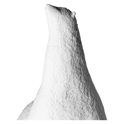 Arven Decoration Figurine Polar Bear - White - Imagen 4