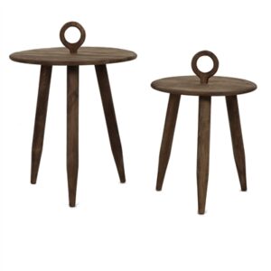 Tripoli Set of 2 Mango Wood Brown Coffee Tables - Brown - Brown