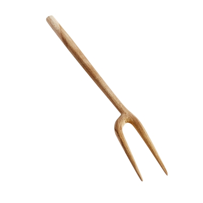 Fork Olive - Nature