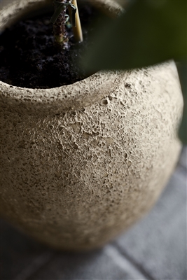 Jar Luna Beige 38 - Beige - Beige - Beige - Imagen 3