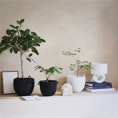 Deco pot Honey White- ST - Imagen 3