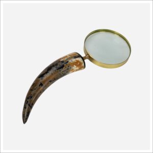Abbott Magnifying Glass